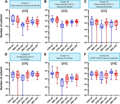 Peripheral Blood Immune Cell Composition After Autologous MSC Infusion in Kidney Transplantation Recipients